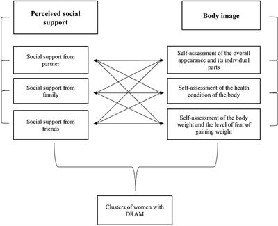 Connections Between Perceived Social Support and the Body Image in the Group of Women With Diastasis Recti Abdominis